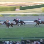 【京阪杯2023】出走予定馬・騎手/コース替わりが与える影響