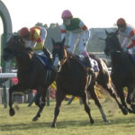 ナミュールが香港マイルの招待を受諾。鞍上は未定。