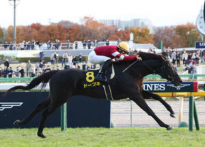 【キャピタルS】高額馬ドーブネ快勝！藤田晋オーナー東西メイン制覇