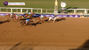 ウシュバテソーロさん…