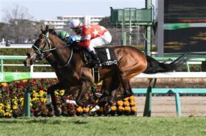 【競馬予想】[2]第48回エリザベス女王杯(GⅠ) /2023