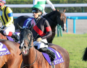 【マイルCS】セリフォス川田８着「力みの強い競馬になりました」