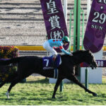 【ジャパンC】イクイノックス、リバティアイランド2頭そろって馬券外って事ないよな?