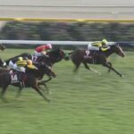 【アルゼンチン共和国杯2023】結果・動画/ゼッフィーロが人気に応え差し切る