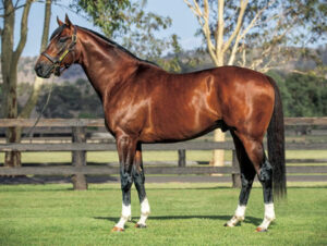 【ニックス】新黄金配合！モーリス×デインヒル