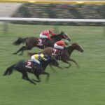 【京王杯2歳ステークス2023】結果・動画/コラソンビートがレコードV