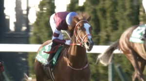 シンエンペラー強すぎワロタｗｗｗｗｗ