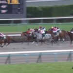 【カペラステークス2023】出走予定馬・騎手/速さを求めて
