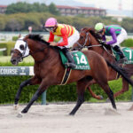 【競馬予想】[1] 第24回チャンピオンズカップ(GⅠ) /2023