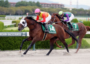 【競馬予想】[1] 第24回チャンピオンズカップ(GⅠ) /2023