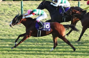 ナミュール×横山武史とは何だったのか