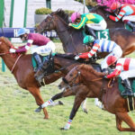 【京都2歳S】シンエンペラーが無傷の重賞初制覇!凱旋門賞馬ソットサスの全弟