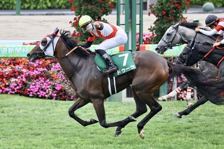 クイーンS勝ちドゥーラが屈腱炎で1年以上の休養へ