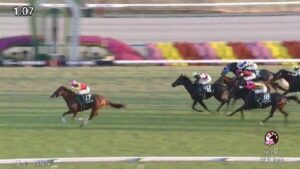 【競馬】京阪杯は菅原明騎乗のトウシンマカオがV