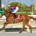 クリノメガミエースの単勝馬券が173万円分も買われていたことが判明