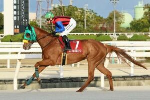 クリノメガミエースの単勝馬券が173万円分も買われていたことが判明