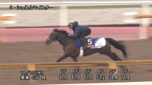 【マイルCS 2023】追い切り/動きからレースを紐解く