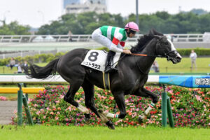 【競馬予想】第28回東京スポーツ杯2歳ステークス(GⅡ)/ 2023