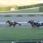 【チャレンジカップ2023】出走予定馬・騎手/挑戦者たち