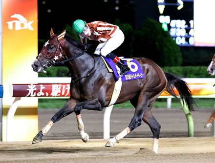 南関３冠馬ミックファイアはチャンピオンズＣを見送り、東京大賞典へ