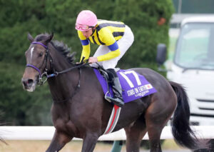 【ジャパンC】8枠17番スターズオンアース意地の3着ｗｗｗ