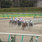 チャンピオンズC史上最高の超豪華メンバーへ!JBC組も続々参戦表明