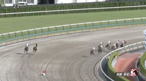 【京都6R】ロードアヴニール＆岩田望来騎手＼(^o^)／