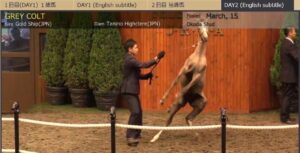 【競馬・ジャパンC】リバティアイランドとはなんだったのか・・・