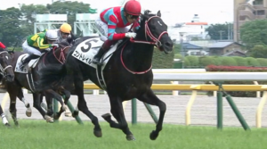 コントレイル（1500万）もう満口に