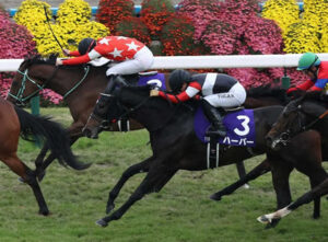 【急募】ハーパーが勝てるGIレース