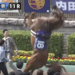 パドック見た瞬間終わったわ←何を思い浮かべた?