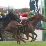 【JRA/2歳リーディングサイアー】スワーヴリチャードが2位エピファネイアを抑え1位