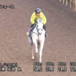 【チャレンジカップ2023】追い切り/抜群の動きを見せたのは