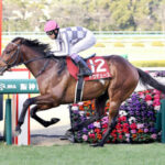 【競馬予想】[3] 第43回ジャパンカップ(GⅠ) /2023