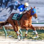 レモンポップを自ら手放した騎手がいるらしい
