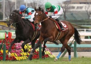3歳牡馬弱すぎワロタｗｗｗ
