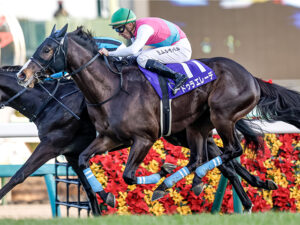 ドゥラエレーデ有馬記念登録www