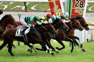 有馬記念タスティエーラ  直線で凄い不利を受けていた!