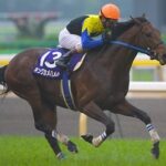 日本歴代最強馬キングカメハメハ