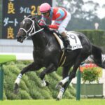 ディープボンド マーカンド騎手「ズブすぎて大逃げできなかった」