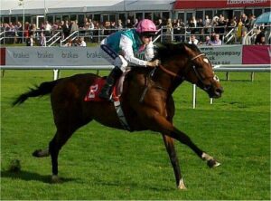 イクイノックスが史上最強だと思ってるやつはフランケルの戦績を見てこい