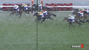 シャフリヤール5着