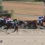 【競馬】チャンピオンズCは坂井騎乗のレモンポップがV