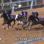 【有馬記念2023】追い切り/調教を見てわかる事