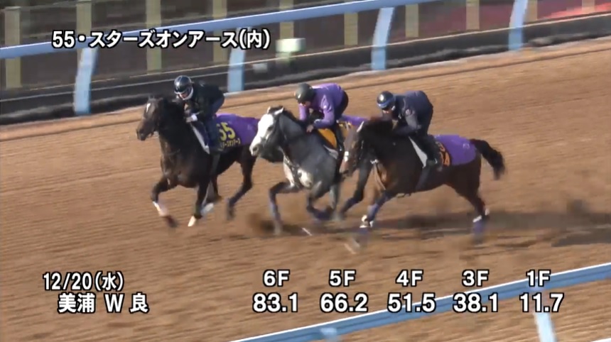 【有馬記念2023】追い切り/調教を見てわかる事