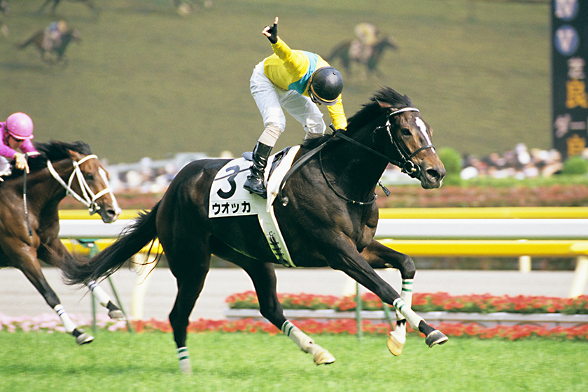 牝馬3冠してGI9勝したのにウオッカより印象が弱い馬