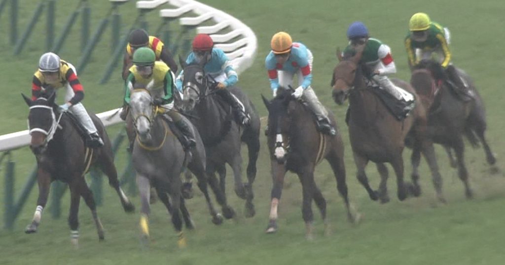 【競馬・朝日杯FS】4コーナーでルメールが川田に内を空けて進路を譲った行為について