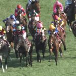 【競馬・名古屋グランプリ】ミトノオー武豊wwwwwwwwwwwwwww