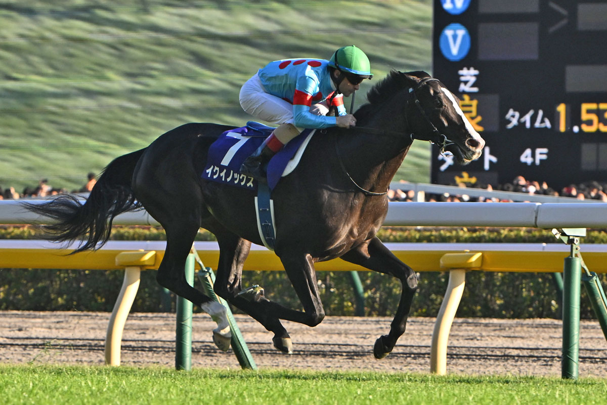 イクイノックスが日本競馬史に刻んだ蹄跡