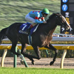 種牡馬ビジネスのための名馬の早期引退は本当に正しいのか？